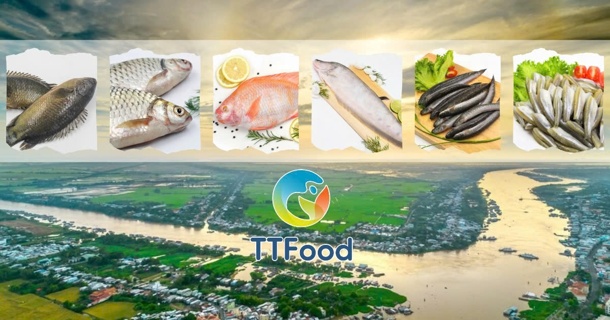 TTFood Products