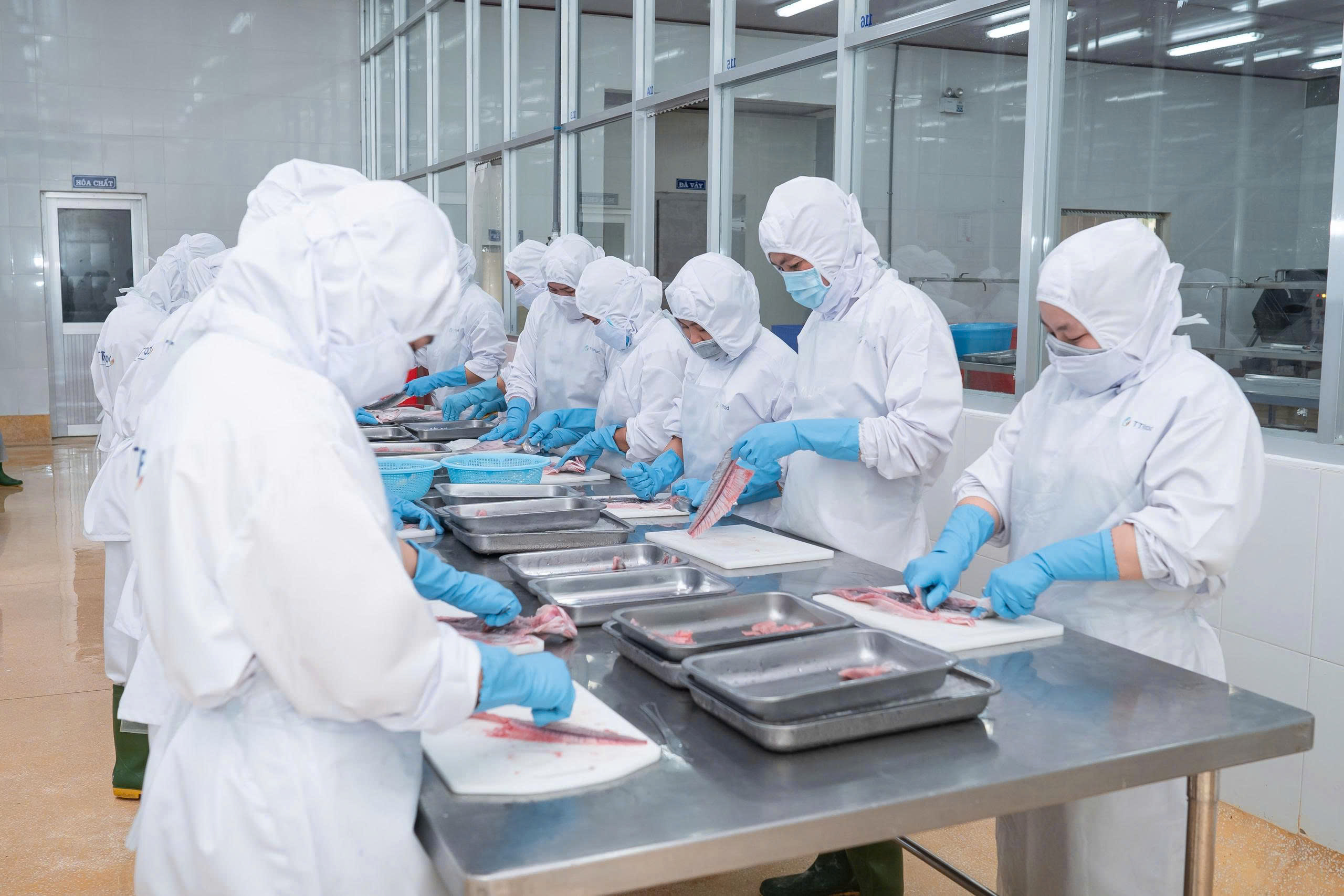 TTFood Factory